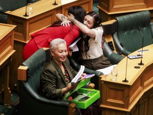 Supporting image for story: New Zealand rejects proposed law to redefine treaty principles bill