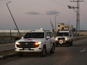 Supporting image for story: Israel identifies latest remains returned from Gaza as hostage Dror Or