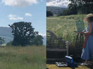 Supporting image for story: Radnorshire Artists will be hosting an exhibition, a talk and arts class in September as part of Herefordshire Art Week