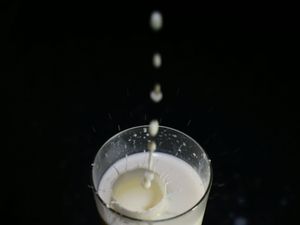 Supporting image for story: Low-fat dairy may not be the only heart healthy option, study suggests