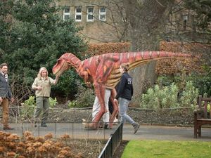 Supporting image for story: Brainy Velociraptor ‘hunted in packs’