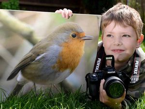 Supporting image for story: Ryan gets snap happy in world of wildlife photography