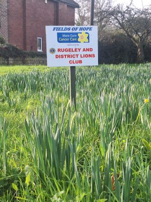 Rugeley and District Lions Club- Field of Hope
