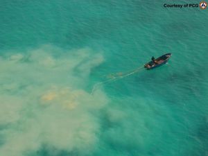 Supporting image for story: Philippines blames China for loss of giant clams in disputed shoal
