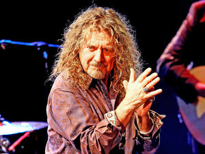 Supporting image for story: Talk on Robert Plant at Wolverhampton gallery