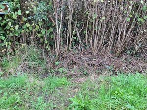 Blocked ditches has caused flooding. Picture: Chris Naylor