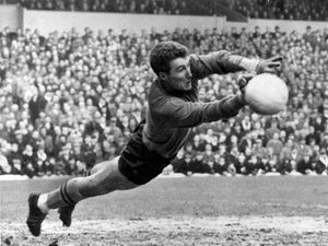 Supporting image for story: Former Wolves goalkeeper Fred Davies dies, aged 81