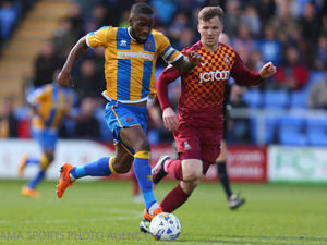 Supporting image for story: Shrewsbury 1 Bradford 1 - Report and pictures