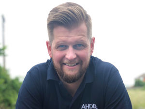 Supporting image for story: Rise in vaccine use on farms means less need for antibiotics