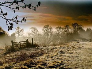 Supporting image for story: A foggy outlook - your misty photos