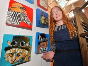 Supporting image for story: More than 20 artists show their skills in Wolverhampton exhibition
