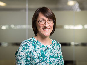 Supporting image for story: Appointing new director is display of political madness