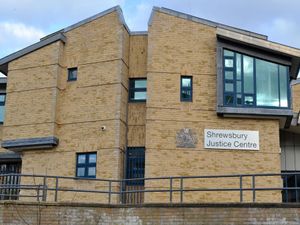 Supporting image for story: Market Drayton man denies buying stun gun