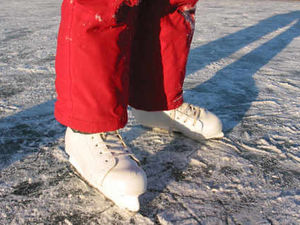 Supporting image for story: Oakengates in Christmas ice rink plan