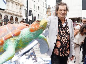 Supporting image for story: Ronnie Wood urges people to look after wildlife before there is ‘nothing’ left