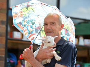 Supporting image for story: Rays Farm tourist attraction closes down after 'matters outside their control'