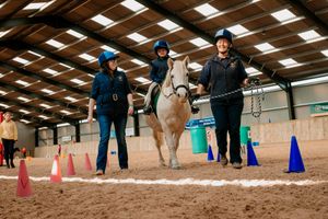 Daniel Crate riding for Ludlow RDA on Toby