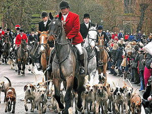 Supporting image for story: Boxing Day hunt tradition continues