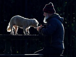 Supporting image for story: Dog bites a ‘huge public health issue’ as hospital admissions triple in 20 years