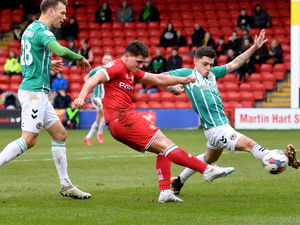 Supporting image for story: Walsall boss Michael Flynn is backing Matty Stevens to shine