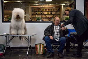 An Old English Sheepdog at the Birmingham National Exhibition Centre (NEC) for the third day of the Crufts Dog Show. PA Photo. Issue date: Saturday March 7, 2020. See PA story ANIMALS Crufts. Photo credit should read: Jacob King/PA Wire.