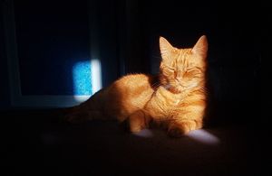 Winner of 18+ category.
Catherine Wignall