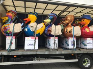Supporting image for story: Telford duck statues fly the nest but charity fund is ready to soar