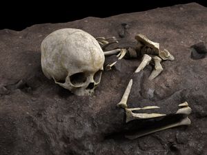 Supporting image for story: Remains of three-year-old child uncovered in Africa’s ‘oldest burial site’