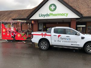 Supporting image for story: Rotary club invites new members after successful festive campaigns