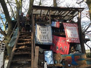 Supporting image for story: HS2 protesters set up woodland camp along route to 'stop damage to green areas'