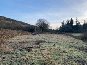 Supporting image for story: Own a stunning little bit of Shropshire in a scenic location - with guide price of £25,000