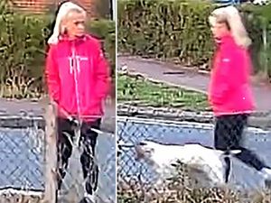 Supporting image for story: Man accused of dog walker murder was jailed for attack on pensioner – court