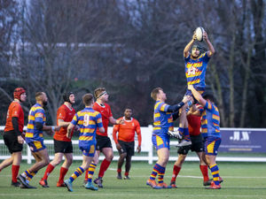 Supporting image for story: Late Hales storm sends them to summit 