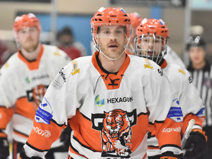 Supporting image for story: Five-star show from Telford Tigers
