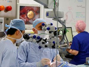 Supporting image for story: Gene therapy leads to sight gain in patients going blind