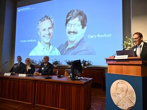 Supporting image for story: Nobel Prize in medicine honours two Americans over discovery of microRNA