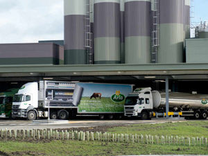 Supporting image for story: Shropshire dairy farmers to share £31 million payout from Arla