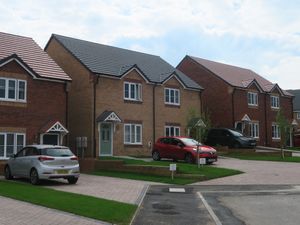 Supporting image for story: Bank supports new development