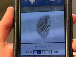 Supporting image for story: Scientists use genetic fingerprints to collar cancer culprits