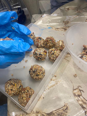 Fat balls for the birds