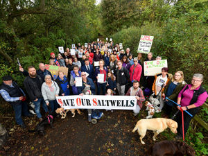 Supporting image for story: LETTER: Save our woodlands amid Saltwells Nature Reserve campaign 