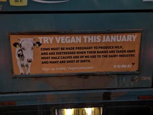 The adverts are part of a national campaign