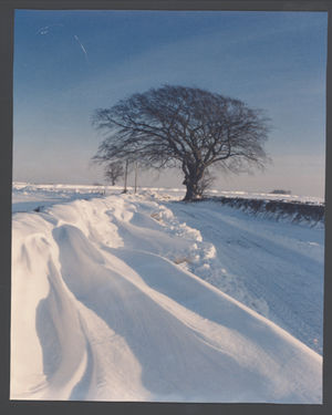1981 brought a white Christmas and conditions like this – this is the Broseley to Much Wenlock road.