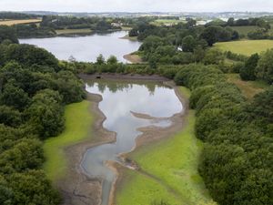 Supporting image for story: System of regulating water firms needs complete overhaul, MPs warn
