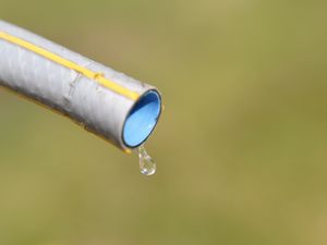 Supporting image for story: Star comment: Looks like public must take the lead on water shortages 