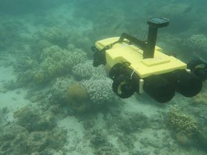 Supporting image for story: Underwater drones kill crown-of-thorns starfish to protect Great Barrier Reef