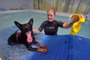 Canine hydrotherapist Marianne Edwards working with Poppy