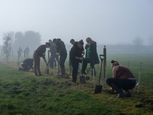 Supporting image for story: Kidderminster hotel stocking spirits which will see a sapling planted for every bottle bought