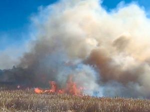 Supporting image for story: 40 outdoor fires a day as heatwave continues