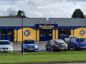 Supporting image for story: Turtle recovered two days after being stolen from pet shop